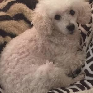 Meet your Posher, Beth